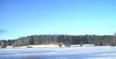 field