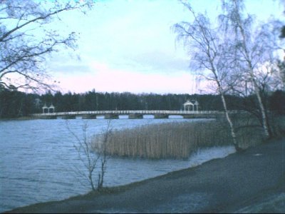 bridge