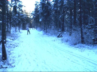 ski