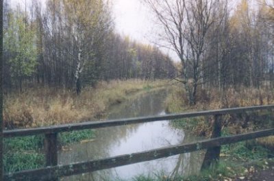 bridge