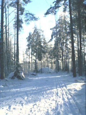 wood
