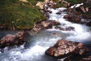 Image6_big.jpg