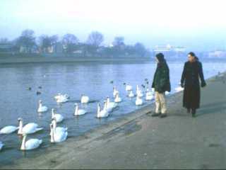 wisla_big.jpg