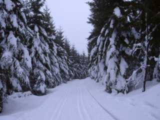 01120009_big.jpg