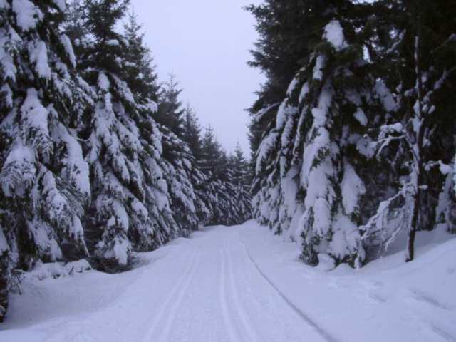 01120009_big.jpg