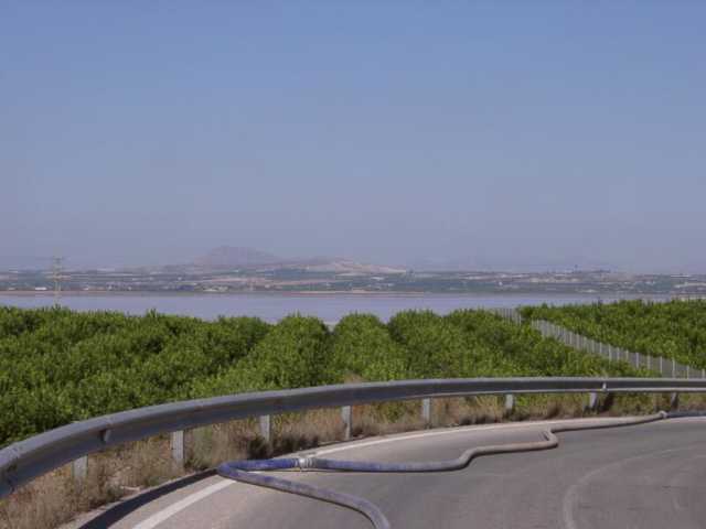 10190013.jpg