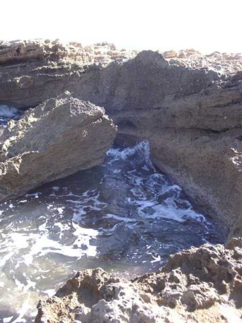 10190044.jpg