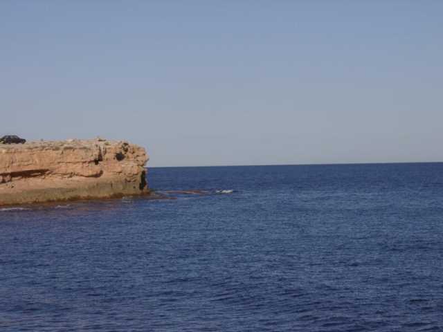 10230054.jpg