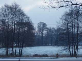 P2040033.jpg