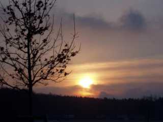 P2040035.jpg