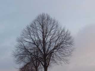 P2040042.jpg