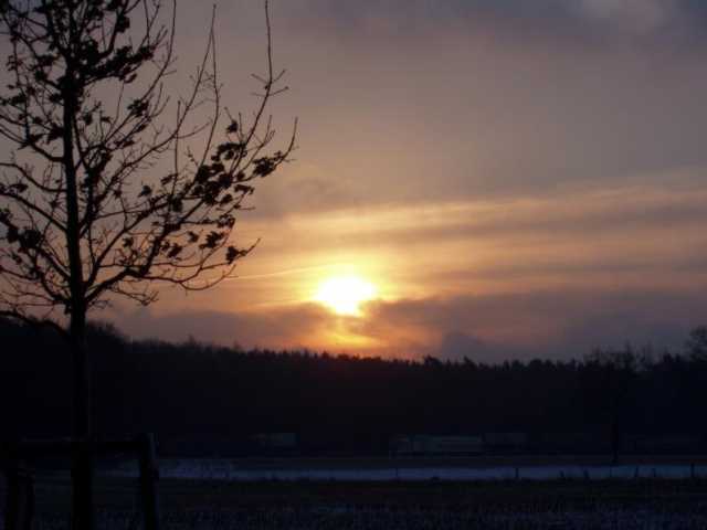 P2040034.jpg