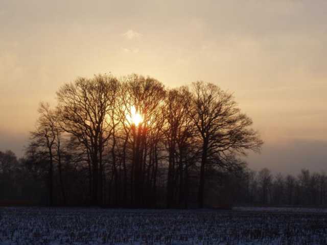 P2040036.jpg