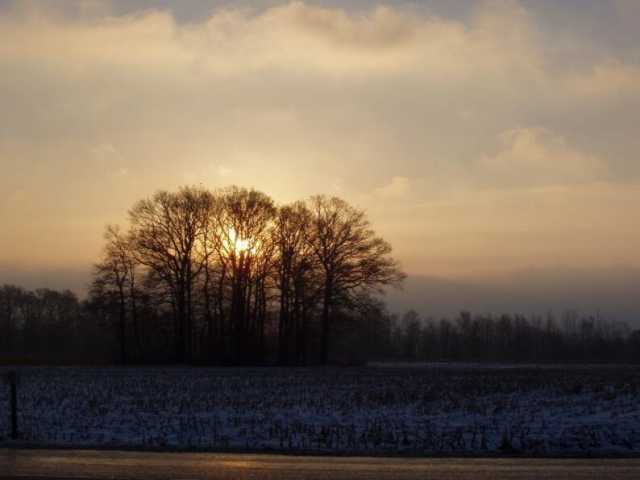 P2040038.jpg