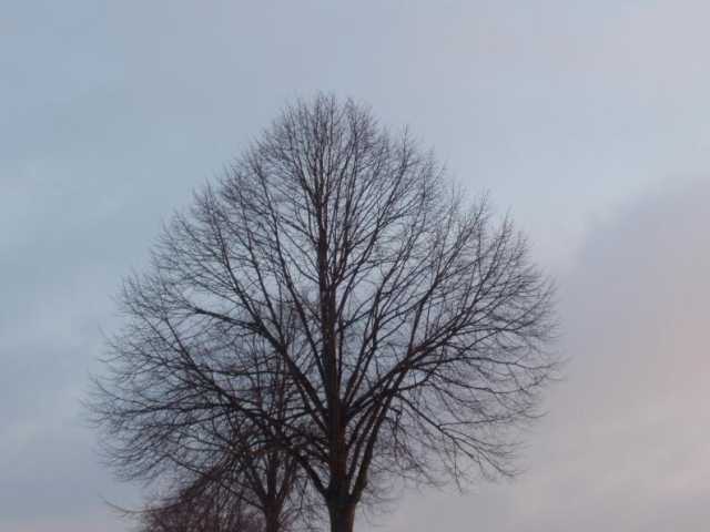P2040042.jpg