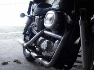 P1010048.jpg
