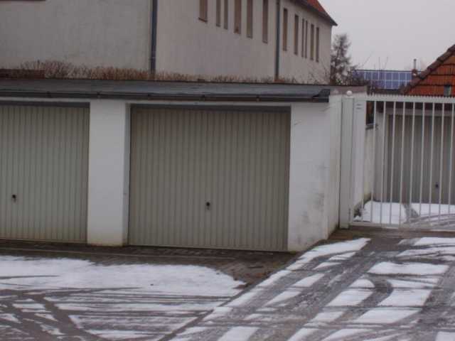 P1010045.jpg