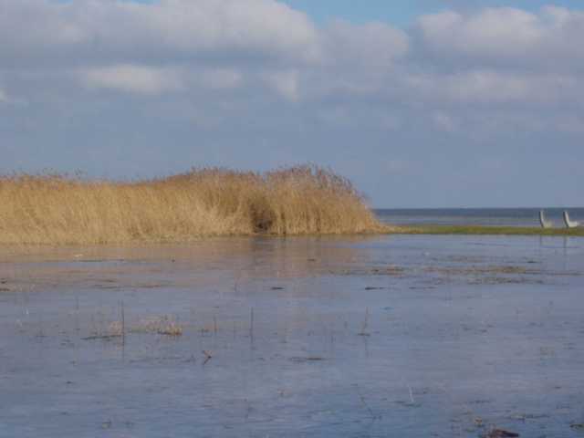 P2160026.jpg
