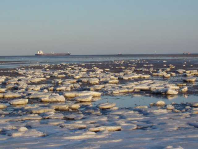 P2160042.jpg