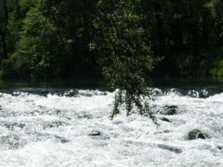 PICT0088.jpg