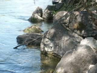 PICT0092.jpg
