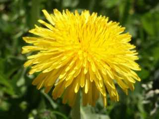 PICT0096.jpg