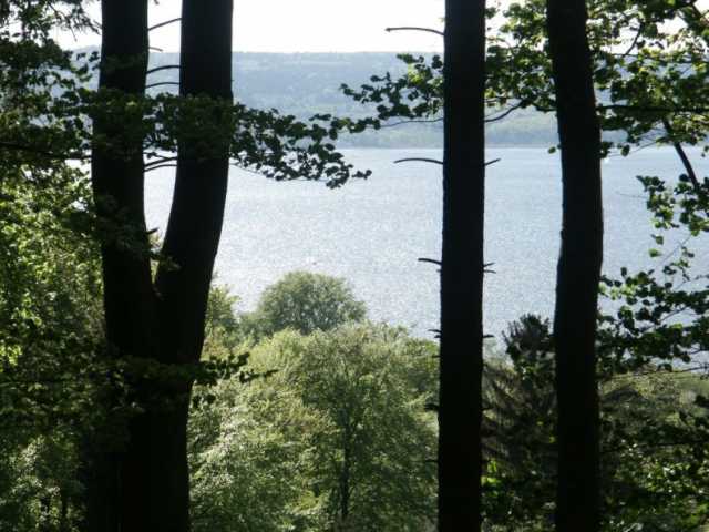 PICT0083.jpg