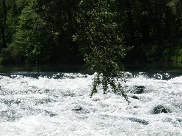 PICT0088.jpg