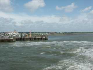 PICT0923.jpg