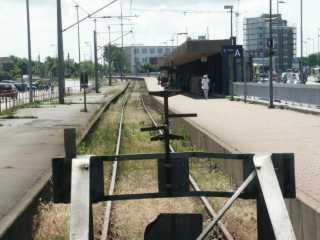 PICT0946.jpg