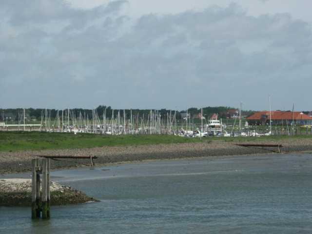PICT0921.jpg