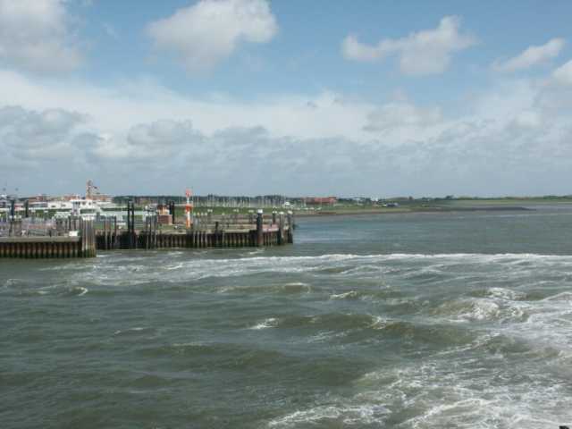 PICT0923.jpg