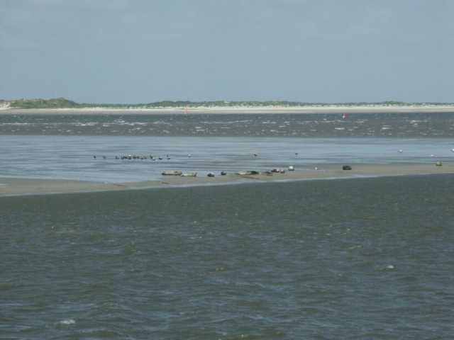 PICT0934.jpg