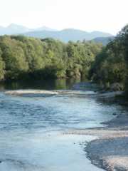 PICT1492.jpg