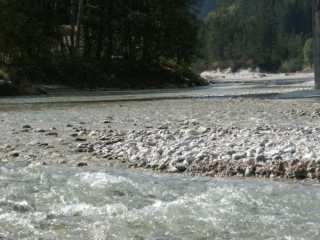PICT1524.jpg