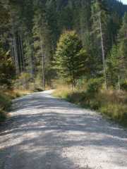 PICT1527.jpg