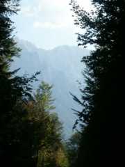 PICT1549.jpg