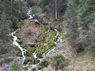 PICT1559.jpg