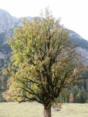PICT1564.jpg