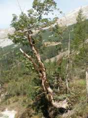 PICT1576.jpg