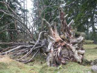 PICT1589.jpg