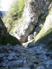 PICT1652.jpg