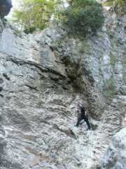 PICT1656.jpg