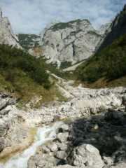 PICT1660.jpg