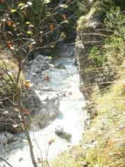 PICT1665.jpg