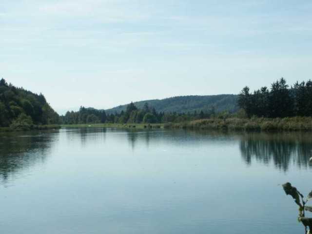 PICT1484.jpg