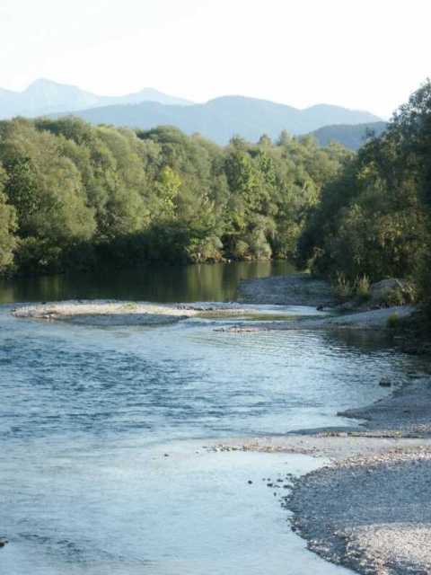 PICT1492.jpg