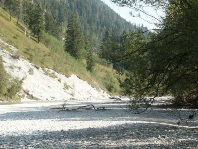 PICT1517.jpg
