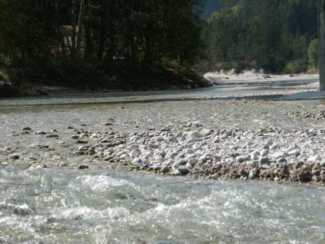 PICT1524.jpg