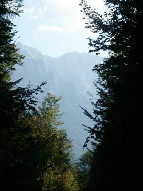 PICT1549.jpg